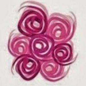 Meet your Posher, Bella